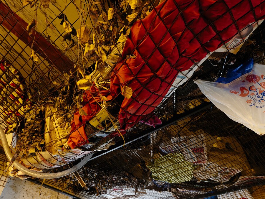 The Mechanical Garden and Other Long Encores 3