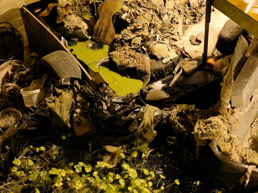 The Mechanical Garden and Other Long Encores 8