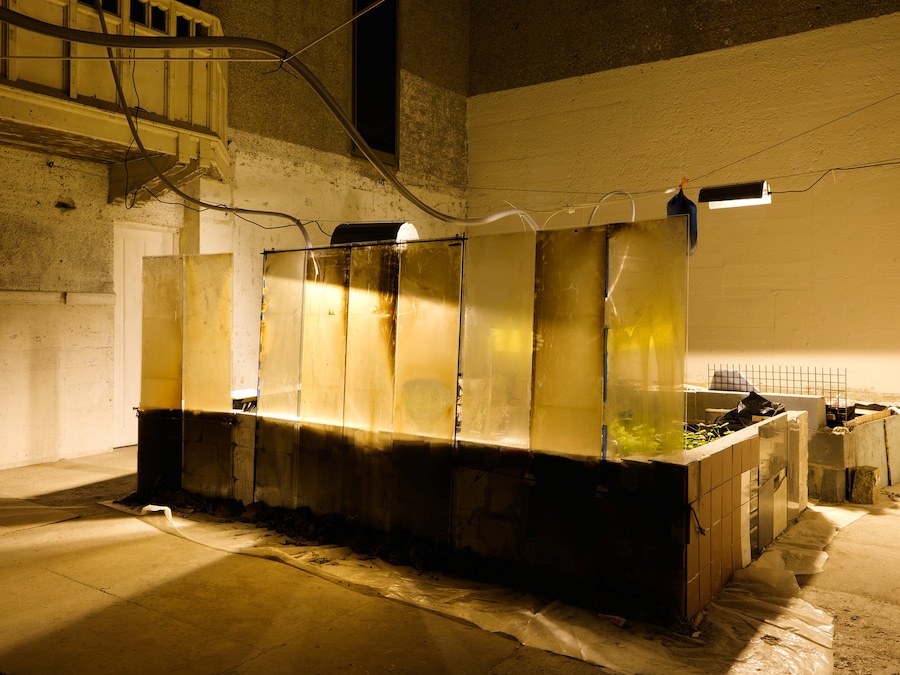 The Mechanical Garden and Other Long Encores 1