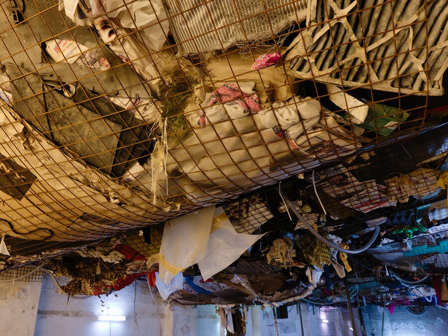 The Mechanical Garden and Other Long Encores 10