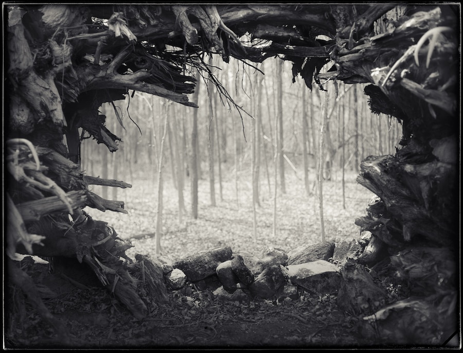 Root Garden Brian Gaberman 10