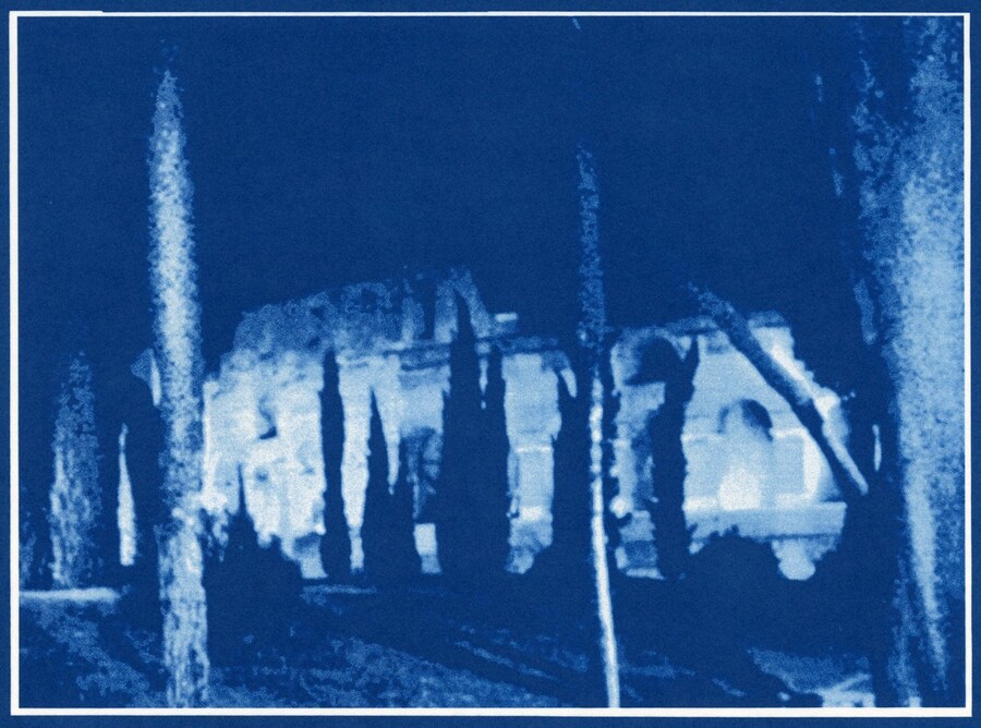 Blood Migration, 2008 1