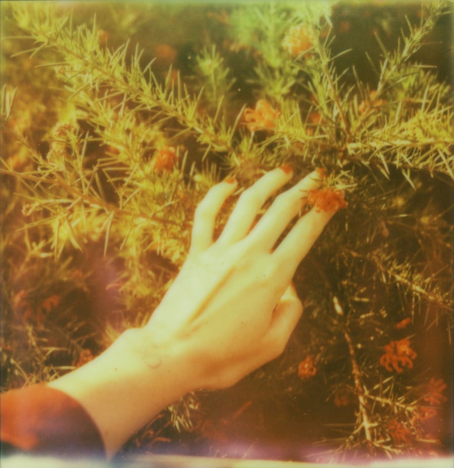 World Wide Women, Leanne Surfleet 12