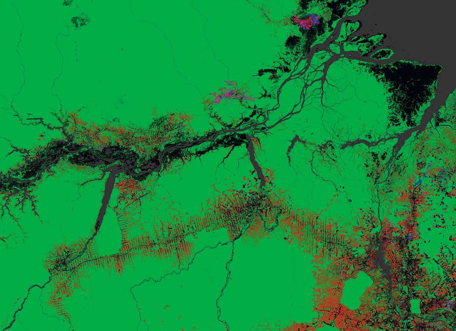 Global forest change 1