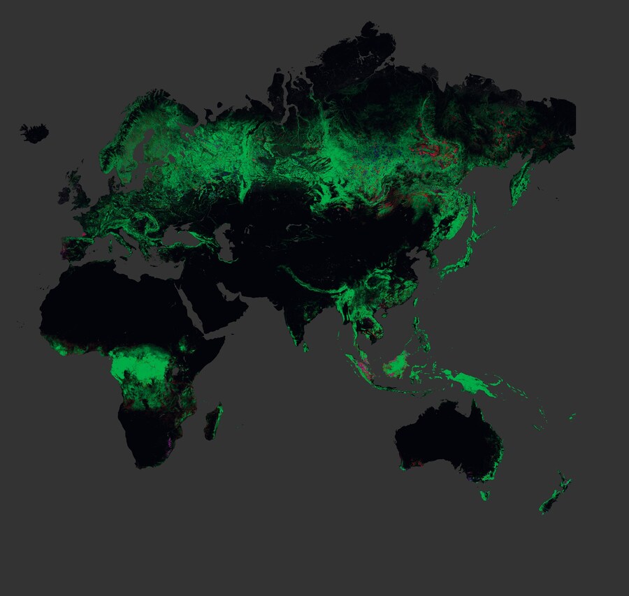 Global forest change 2