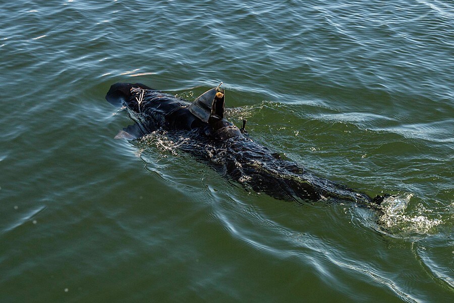 Ghostswimmer navy drone