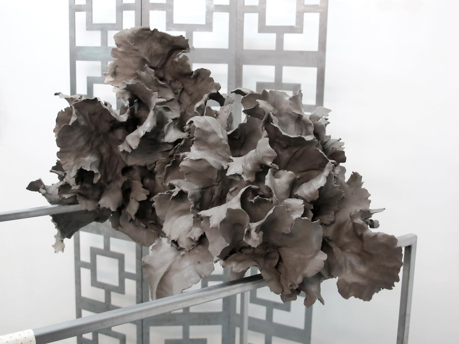 Lucy Whitford, untitled, 2014 (detail) 2