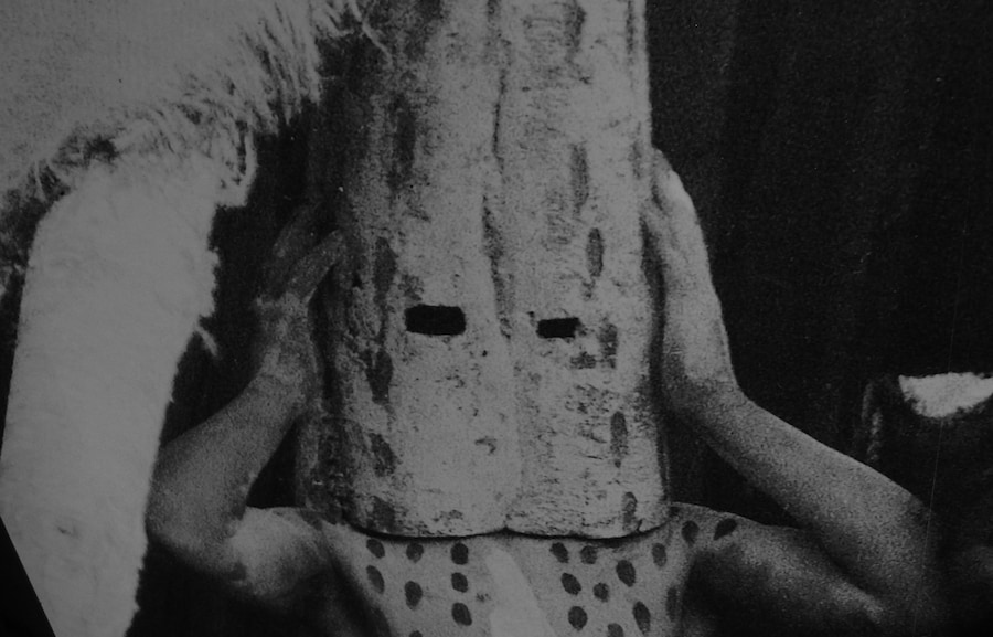 Silphium film still, 2014 4