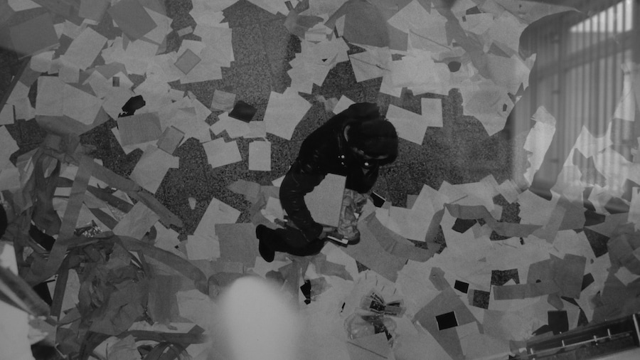 Silphium film still, 2014 16