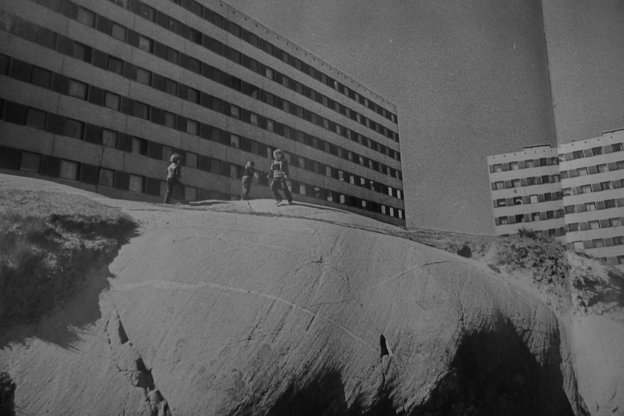 Silphium film still, 2014 3