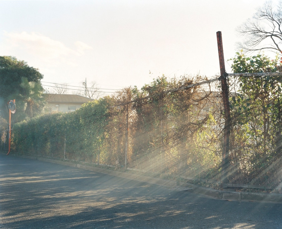 yuji_hamada_photograph_04 18