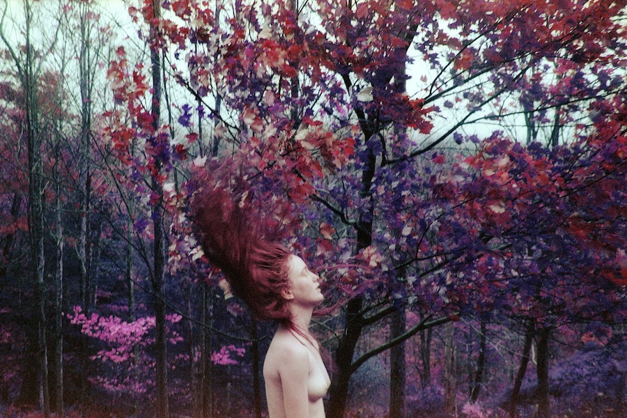 8-Amanda-Charchian-no one knows what to make of th 6