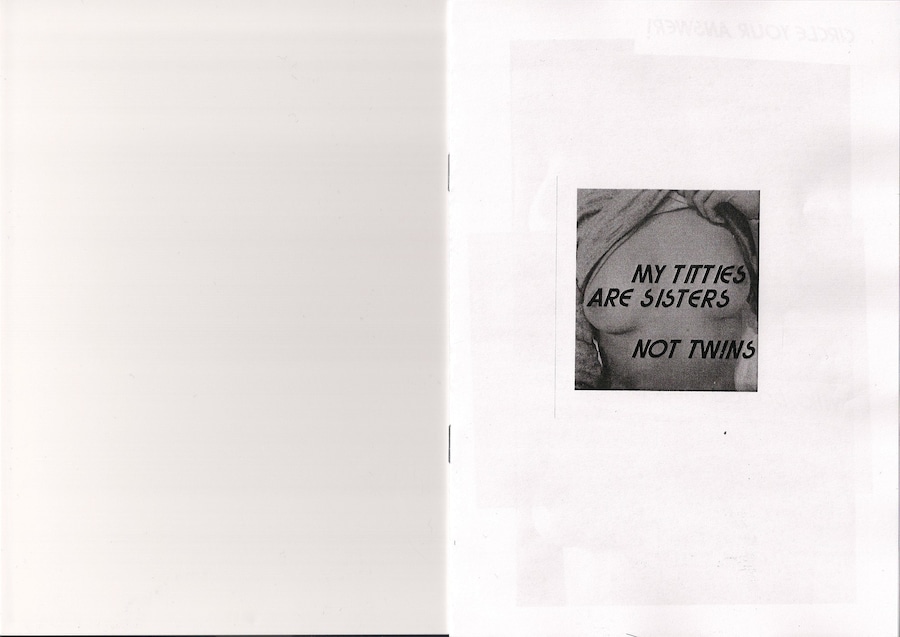 My Titties Are Sisters Not Twins zine by Girls Only 0