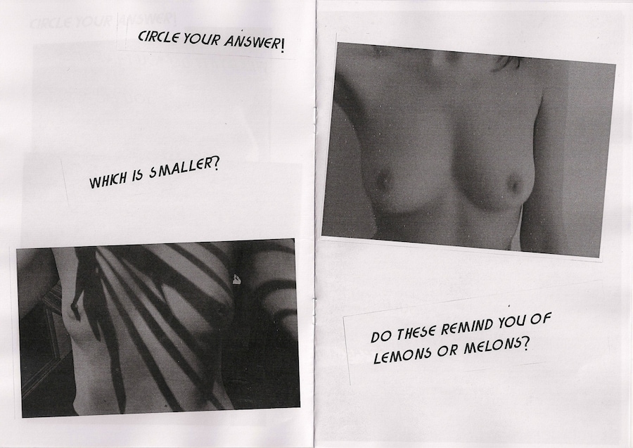 My Titties Are Sisters Not Twins zine by Girls Only 2