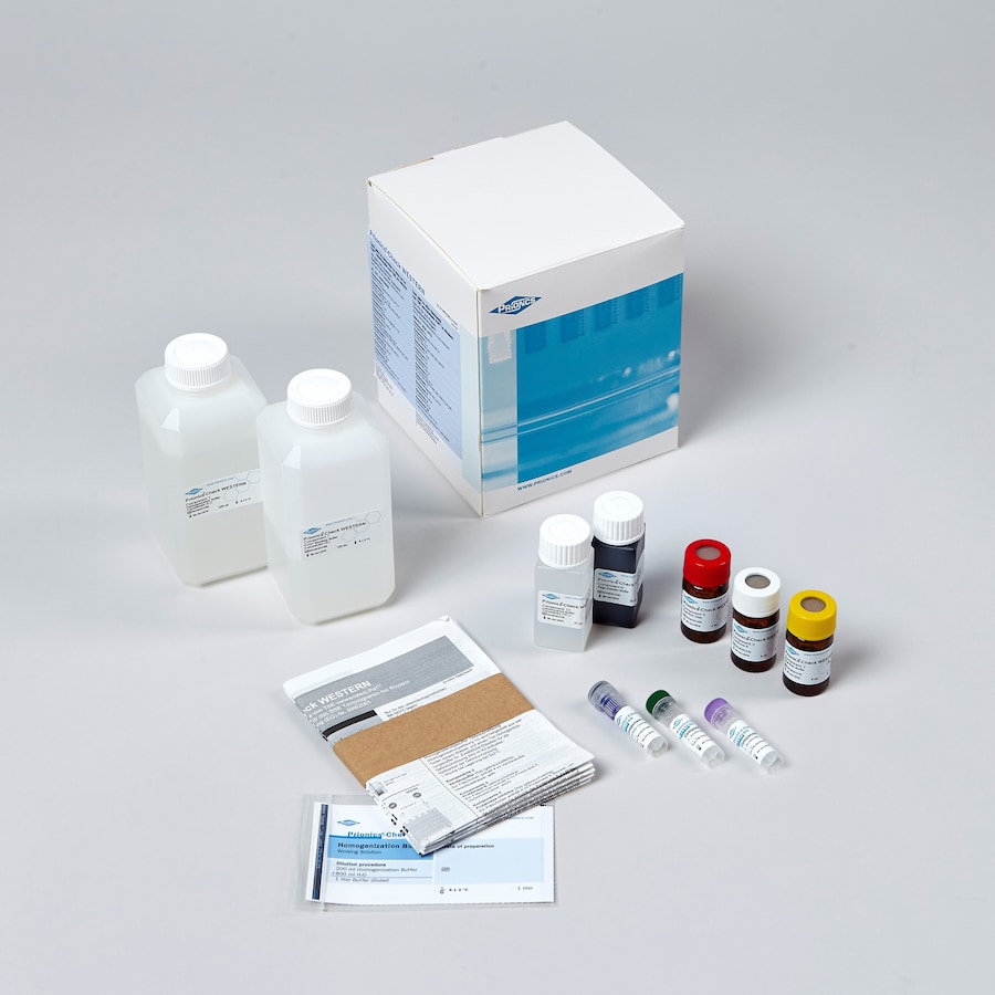 Courtesy Celtic Diagnostics Limited 9