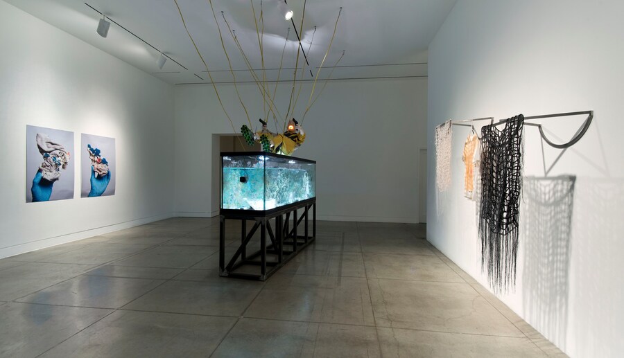 Willhelm Install 02 25