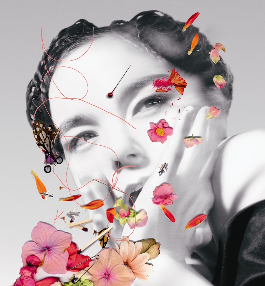 Bj&#246;rk 2