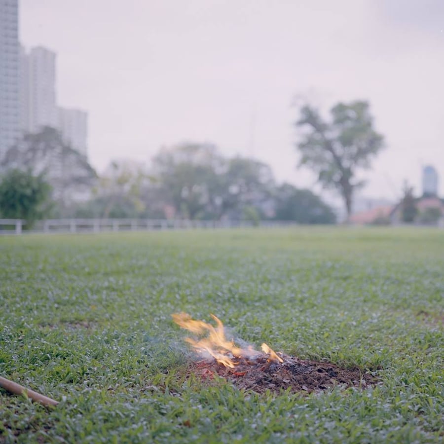 10635791_10152689462072386_427188634410477359_n 4