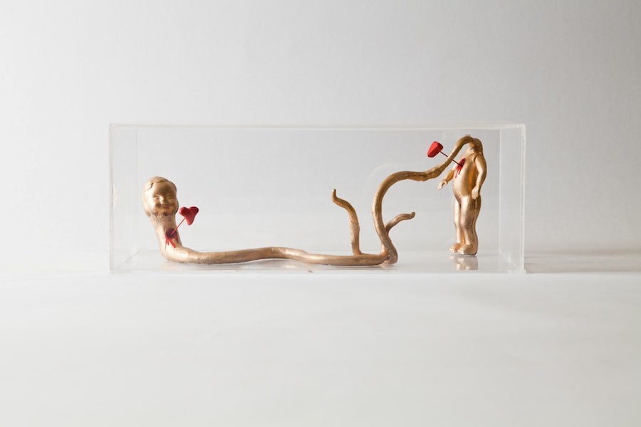 Noé Klabin Humanimals 8