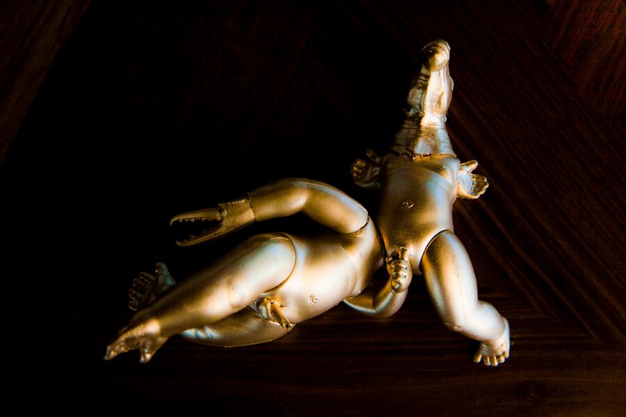 Noé Klabin Humanimals 10