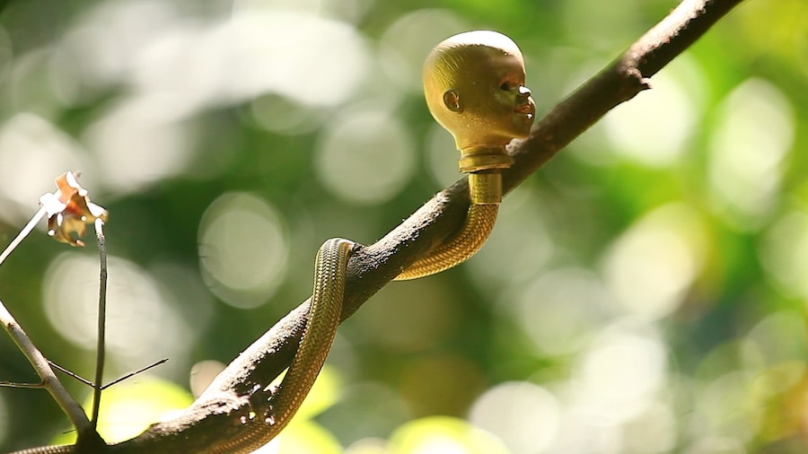 Noé Klabin Humanimals 11