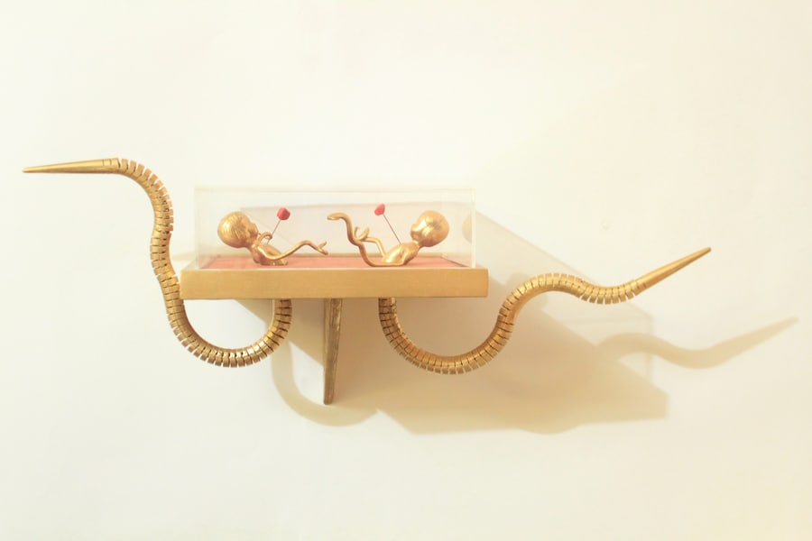 Noé Klabin Humanimals 13