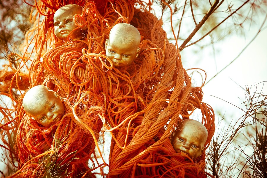 Noé Klabin Humanimals 3