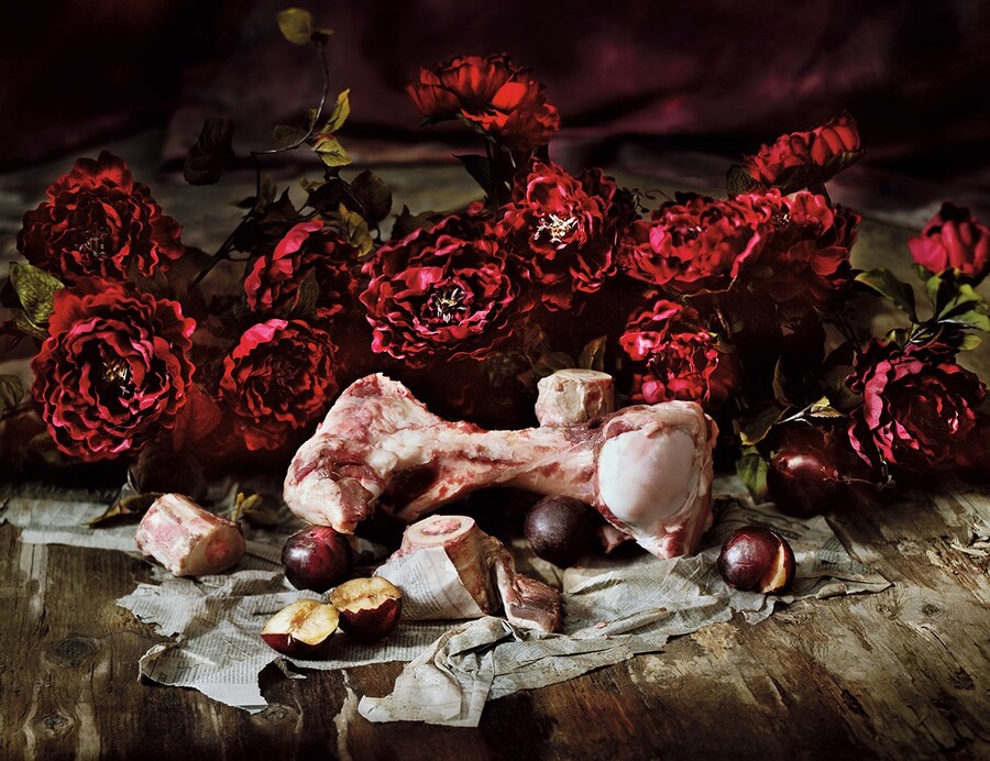 War of the Roses, Dazed Spring 2015, Comme des Gar&#231;ons SS15 4