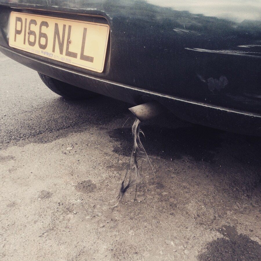 Bird_remains_Walthamstow 3