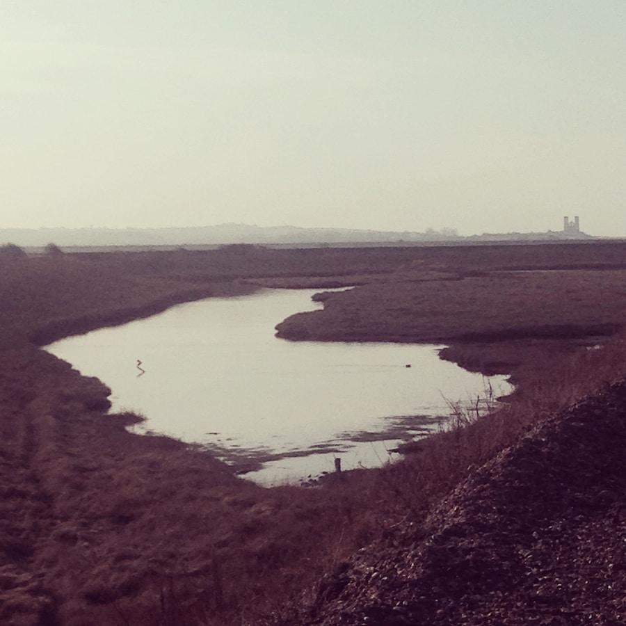 Reculver_2 8