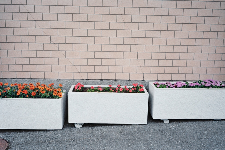 Chris Rhodes Japan 11