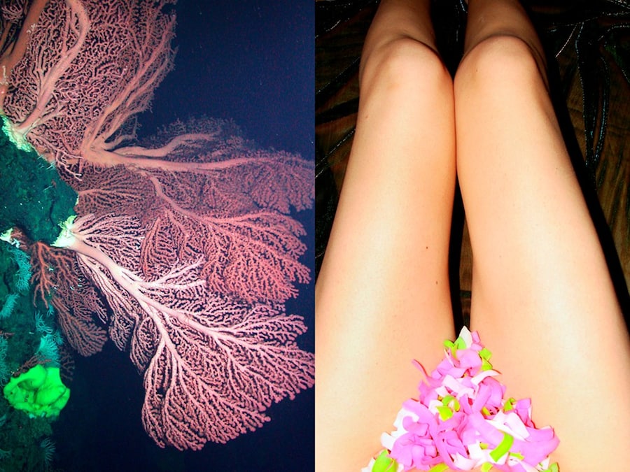 Jennifer Abessira, Soho Revue 10