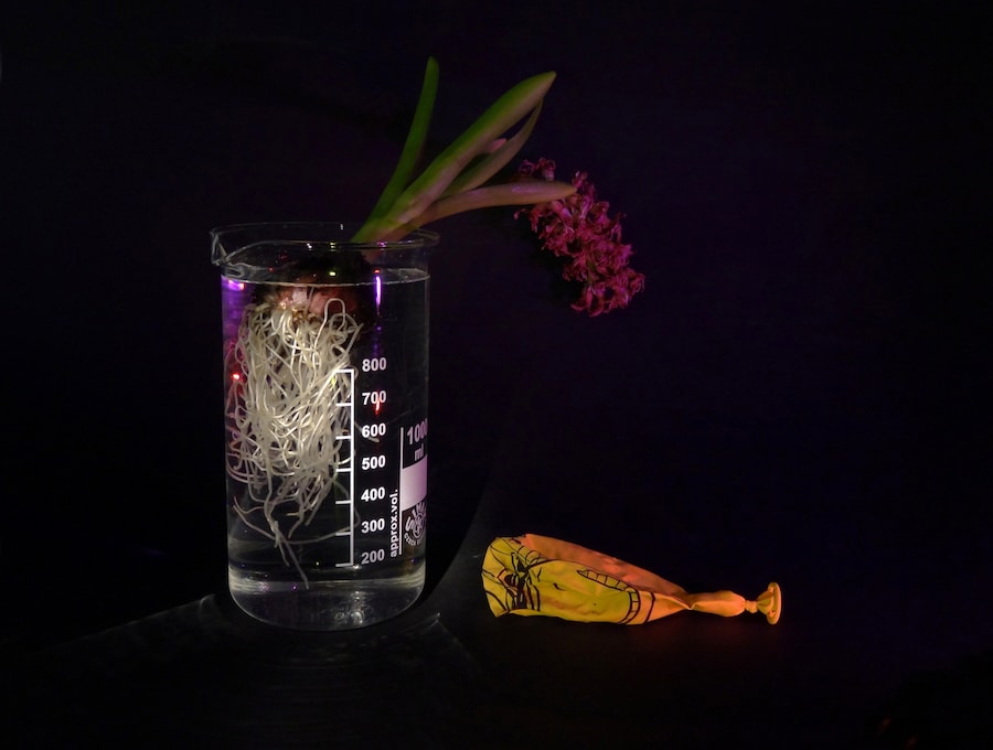 Thalia Raftopoulou, desktop series, Dazed 3