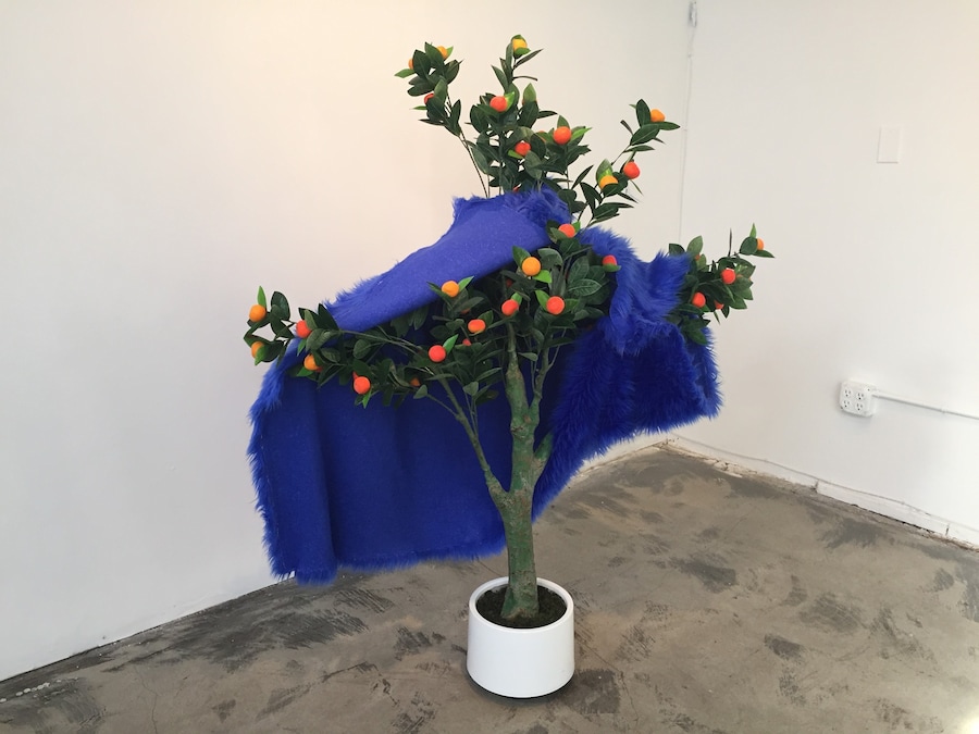 Gordon Holden &quot;Fruit Fur&quot; 16