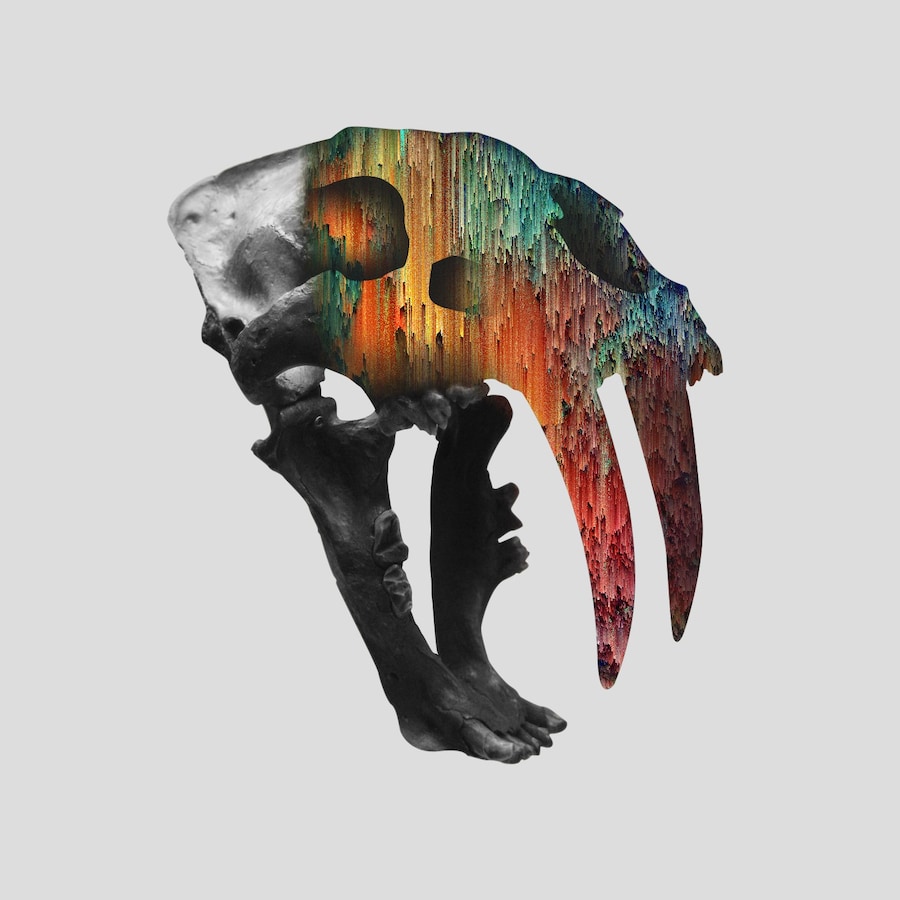 Giacomo Carmagnola Glitch Art 7