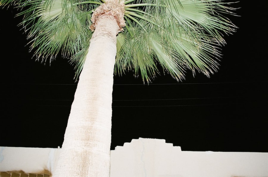 lorena lohr - untitled (night motel) 8