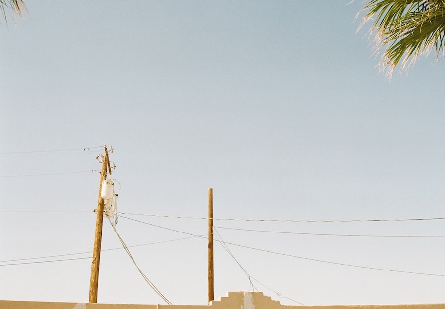 lorena lohr - untitled (palm and telephone pole) 9