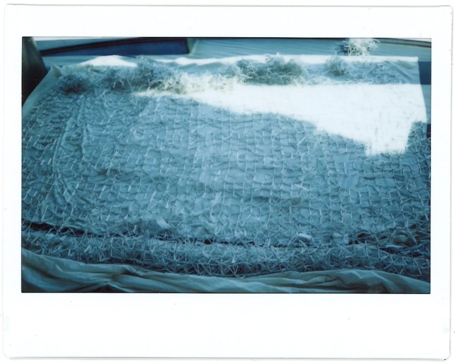 Phoebe English At NOW Installation 15