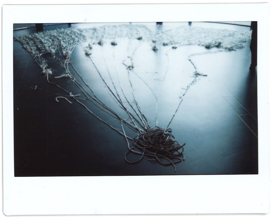 Phoebe English At NOW Installation 13