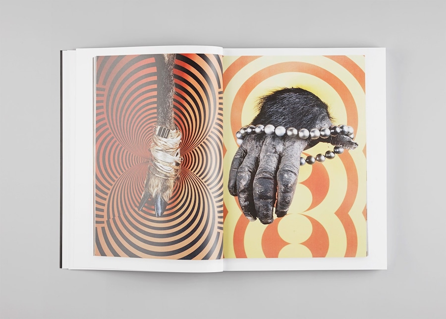 ECAL MG_8271-copie 21