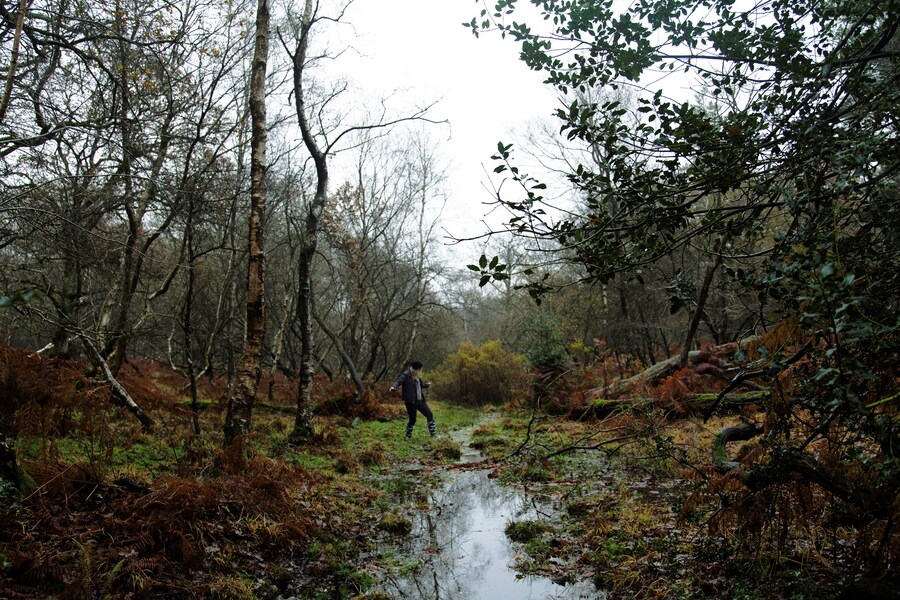 Laura Delaney and Found 8