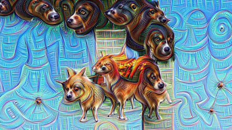 google dogs 6