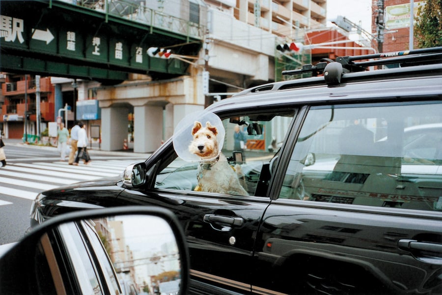 Motohiko Hasui’s Personal Matters, Bemojake, Dazed 7