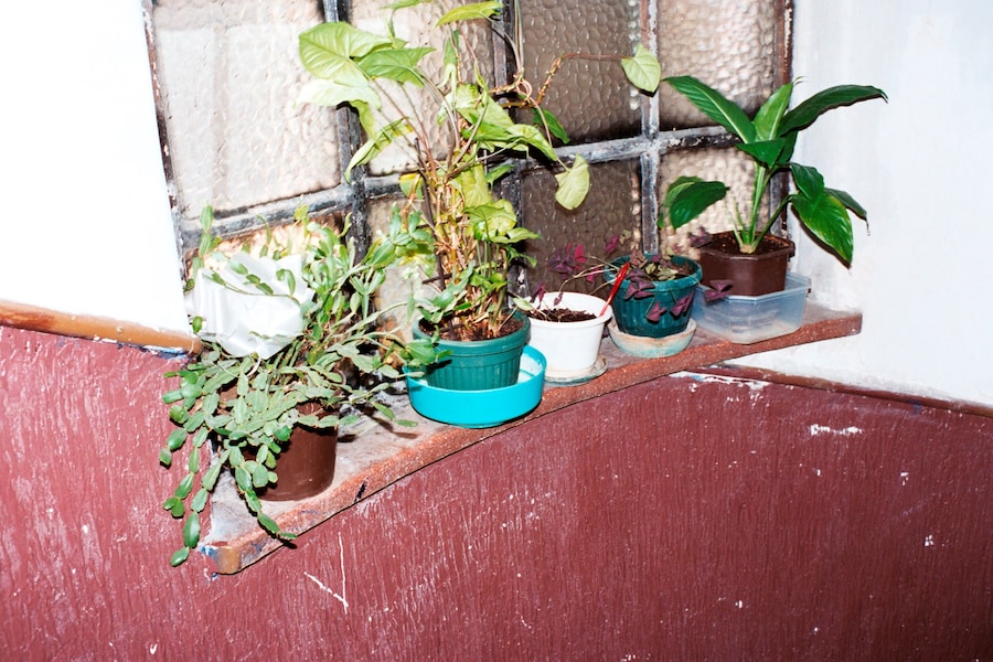 Mads Teglers’ Belgrade 13