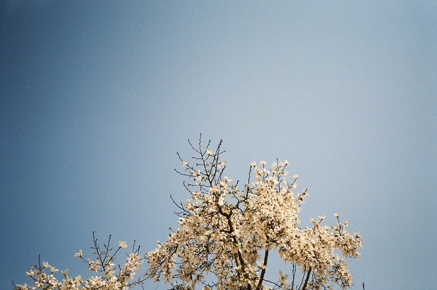 Yoko Kusano’s photography 9