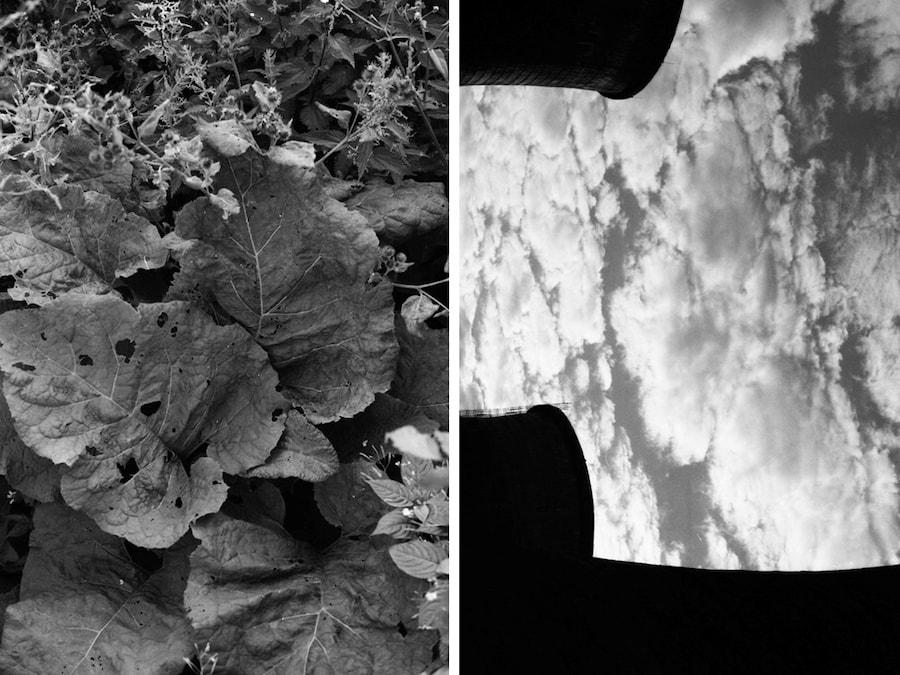 Sonya Kydeeva and Alina Gutkina’s Central Suburbs 22