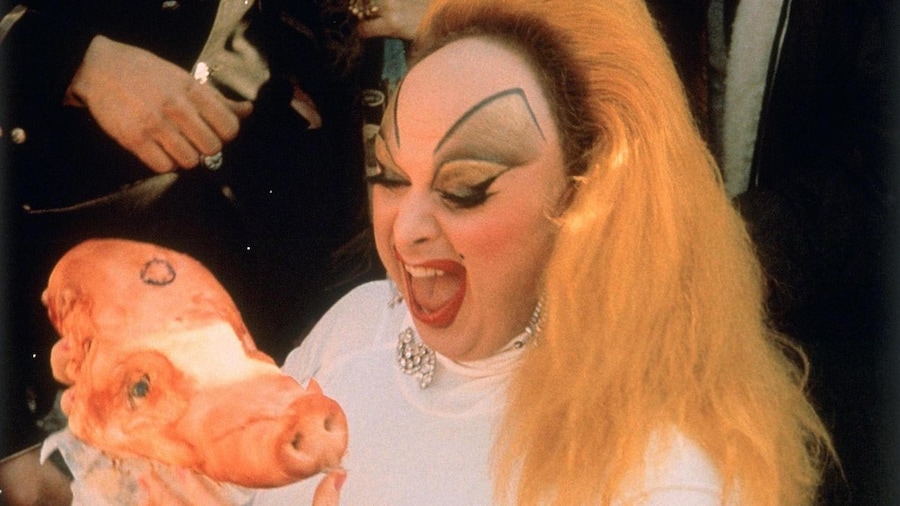 Style in John Waters’ Pink Flamingos (1972) 20