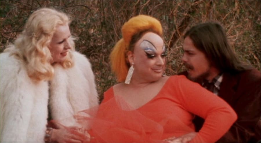 Style in John Waters’ Pink Flamingos (1972) 2
