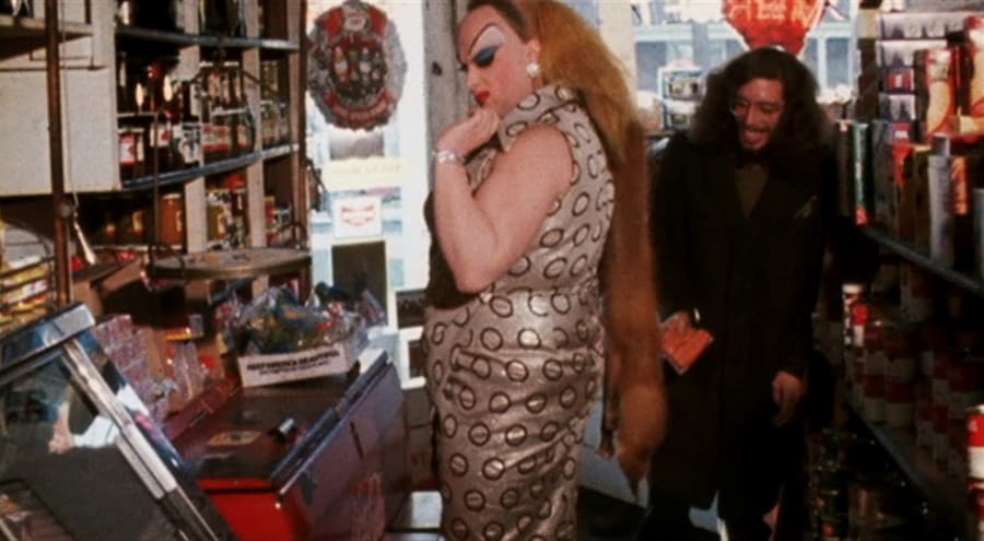 Style in John Waters’ Pink Flamingos (1972) 22