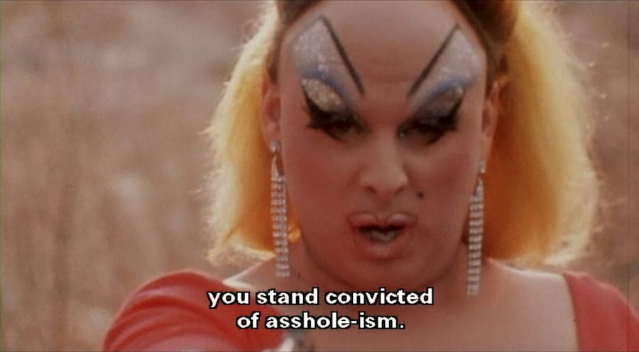 Style in John Waters’ Pink Flamingos (1972) 18